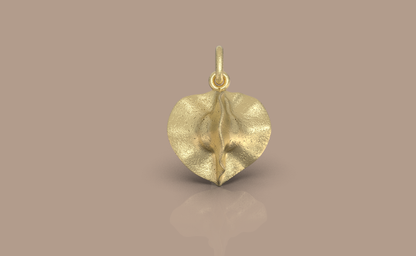 Bushwillow Seed Charm